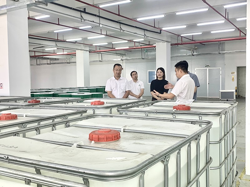 政企连心·共促发展|东莞市东城区政府领导莅临lewin乐玩新材参观指导